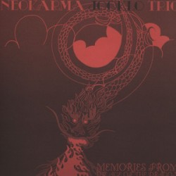  Memories From The Age Of The Dragon - Neokarma Jooklo Trio